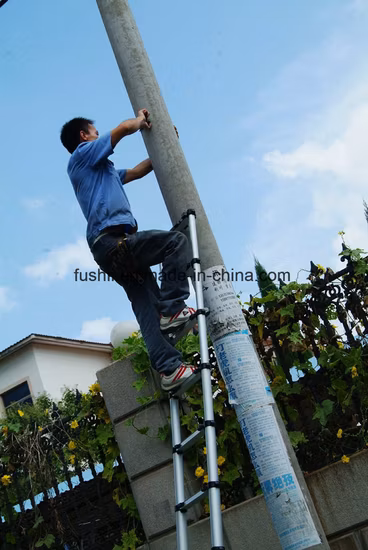 13 단계 EN Cpmpliant 알루미늄 단면 텔레스코픽 사다리