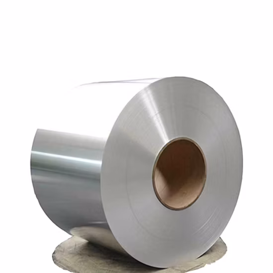 개폐식 단일 En131 직선 기타 사다리 가격 알루미늄