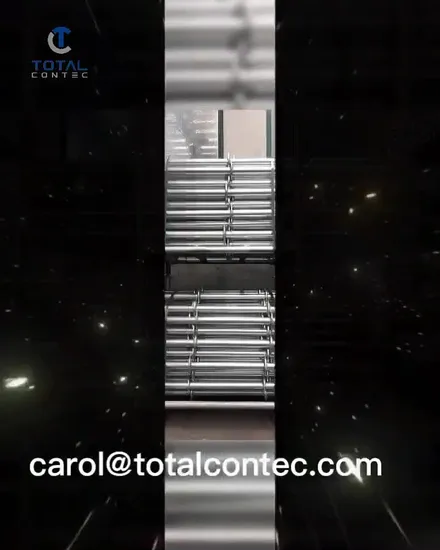 아연 도금 시스템 비계 직선형 비계 사다리